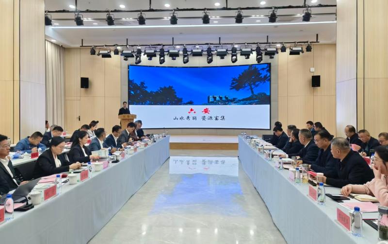 “上海国资国企大别山行”活动在我市成功举办