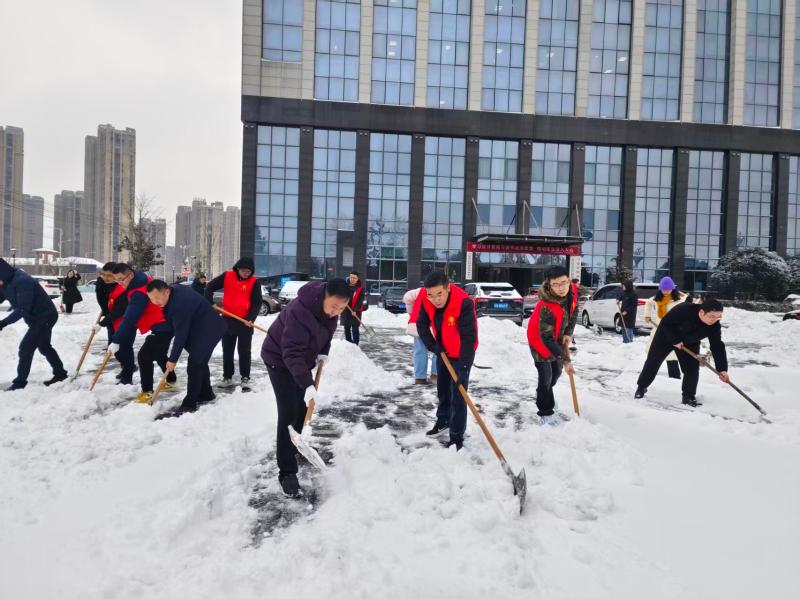 不惧严寒志愿行 除雪铲冰保畅通